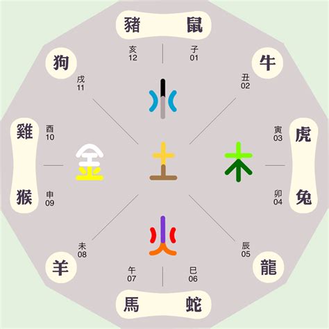 寅五行|十二地支五行属性